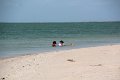 Shark Bay Perron NP Harald Bay (6)